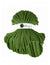 Shiny Moss Green - Limited Edition