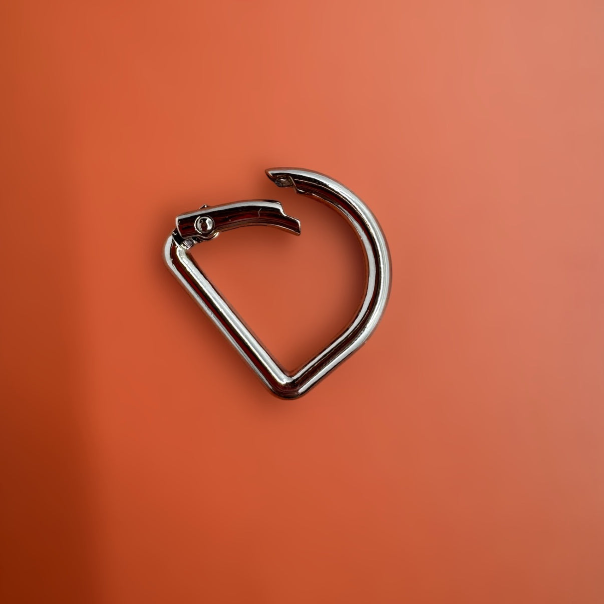 D-Ring-Karabiner Detail mit Metallverschluss