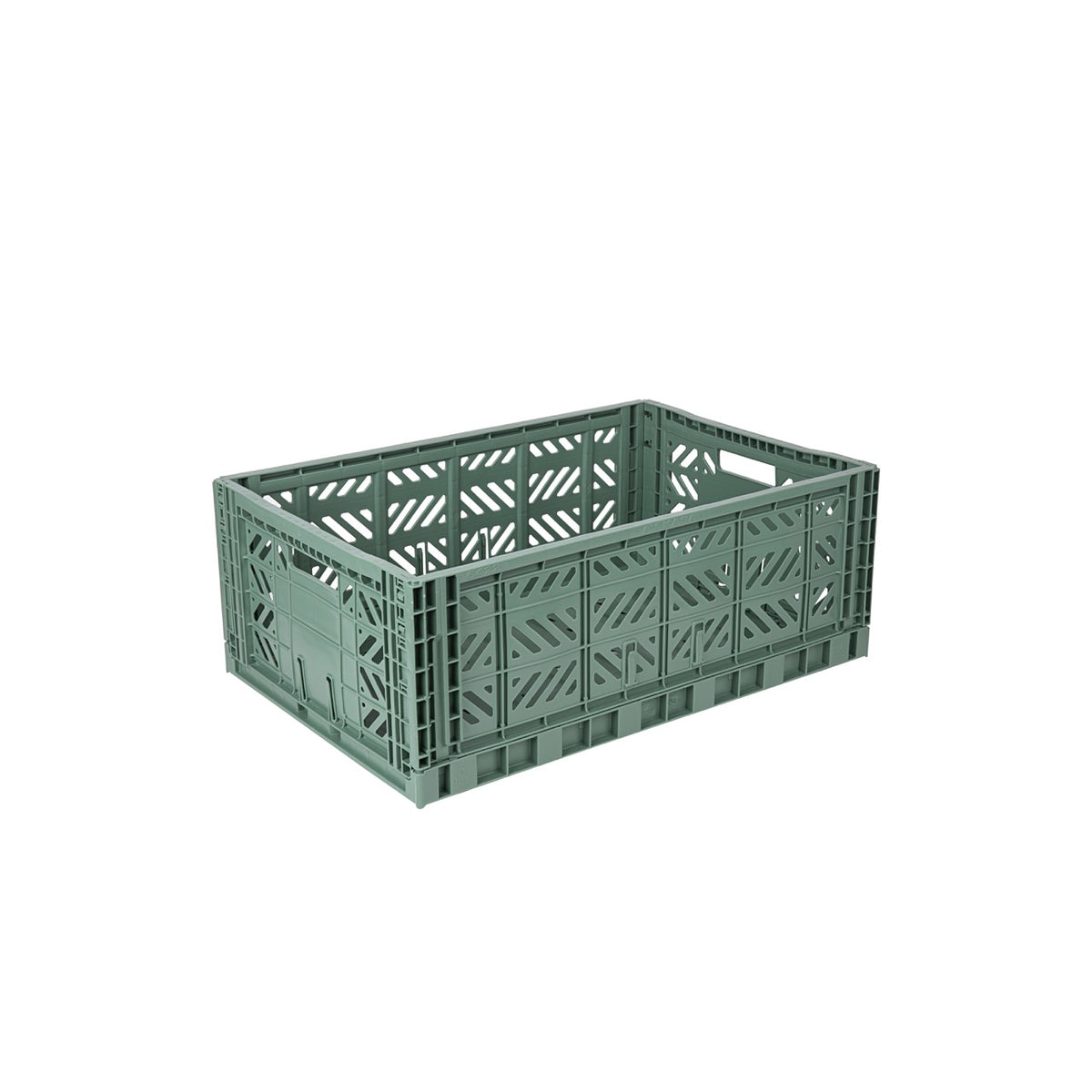 Aykasa Maxi Faltkiste in Almond Green