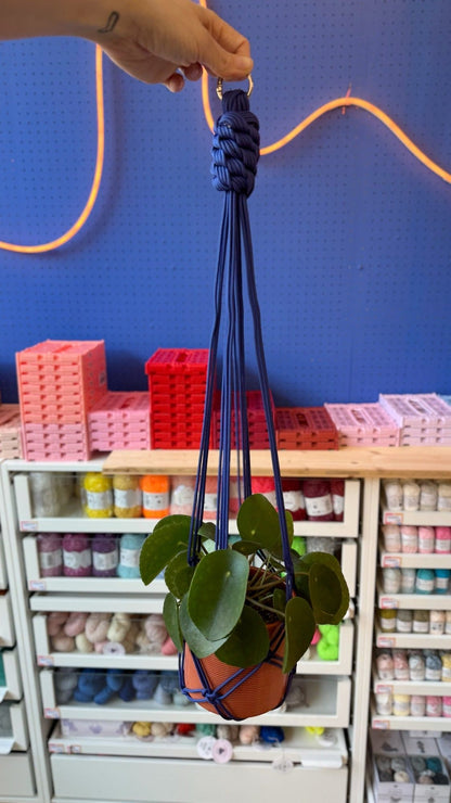 Paracord-Pflanzenampel mit Pflanze gestylt