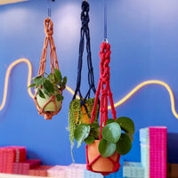 Craftinglove chunky macrame plant hanger