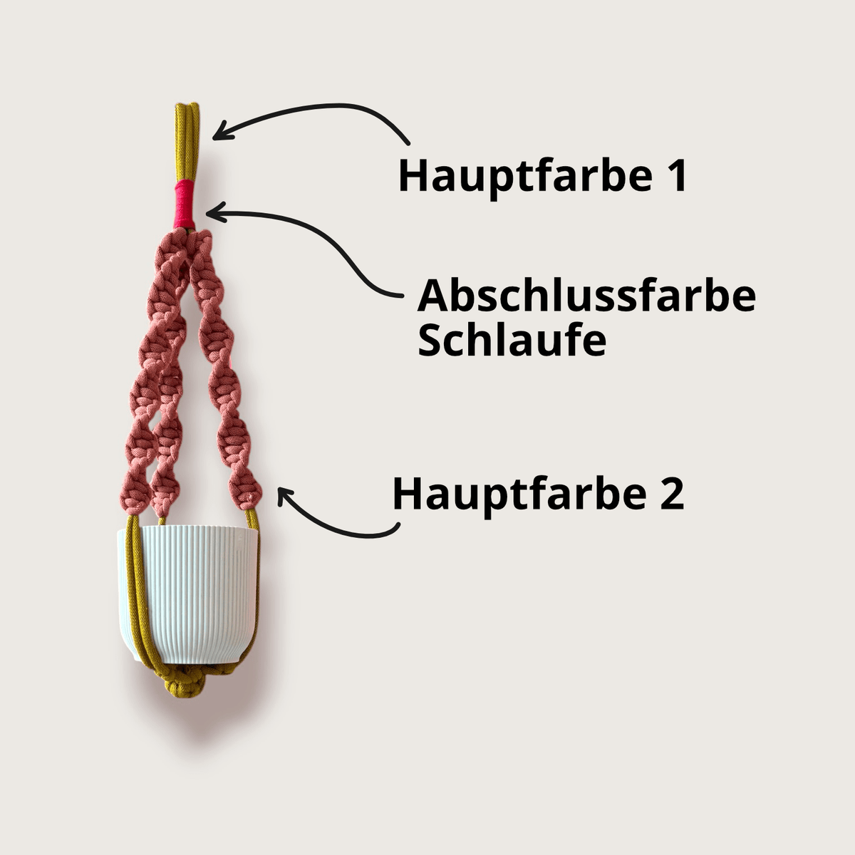 Colourbomb Pflanzenampel, Schema der Farbaufteilung