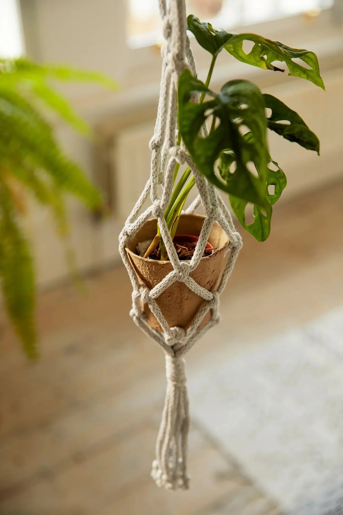 Macramé-Set für drei Blumenampeln von DMC