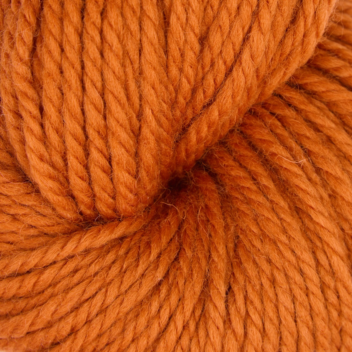 Violet Jane fine punch needle yarn, 110g skein in Autumn Spice