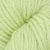 Limelight