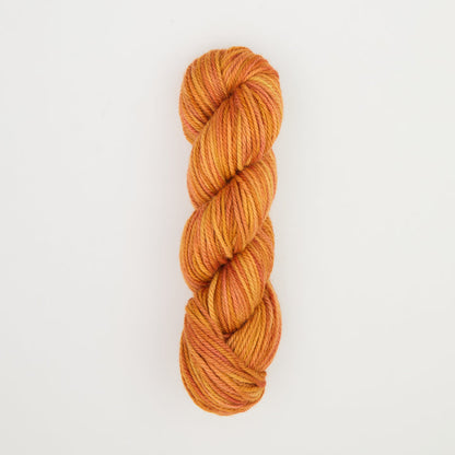 Fine punch needle yarn swatch in Autumn Leaves variegated colours