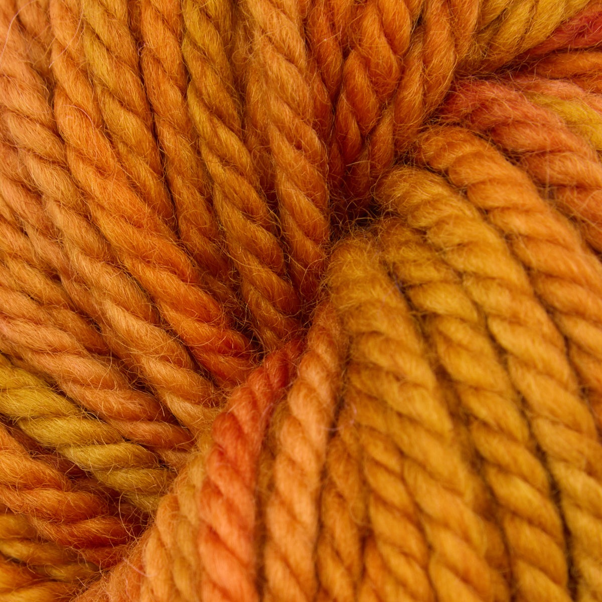 Variegated punch needle rug yarn skein in Autumn Leaves, 110g