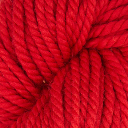 Violet Jane rug punch needle yarn, 110g skein in Fruit Punch