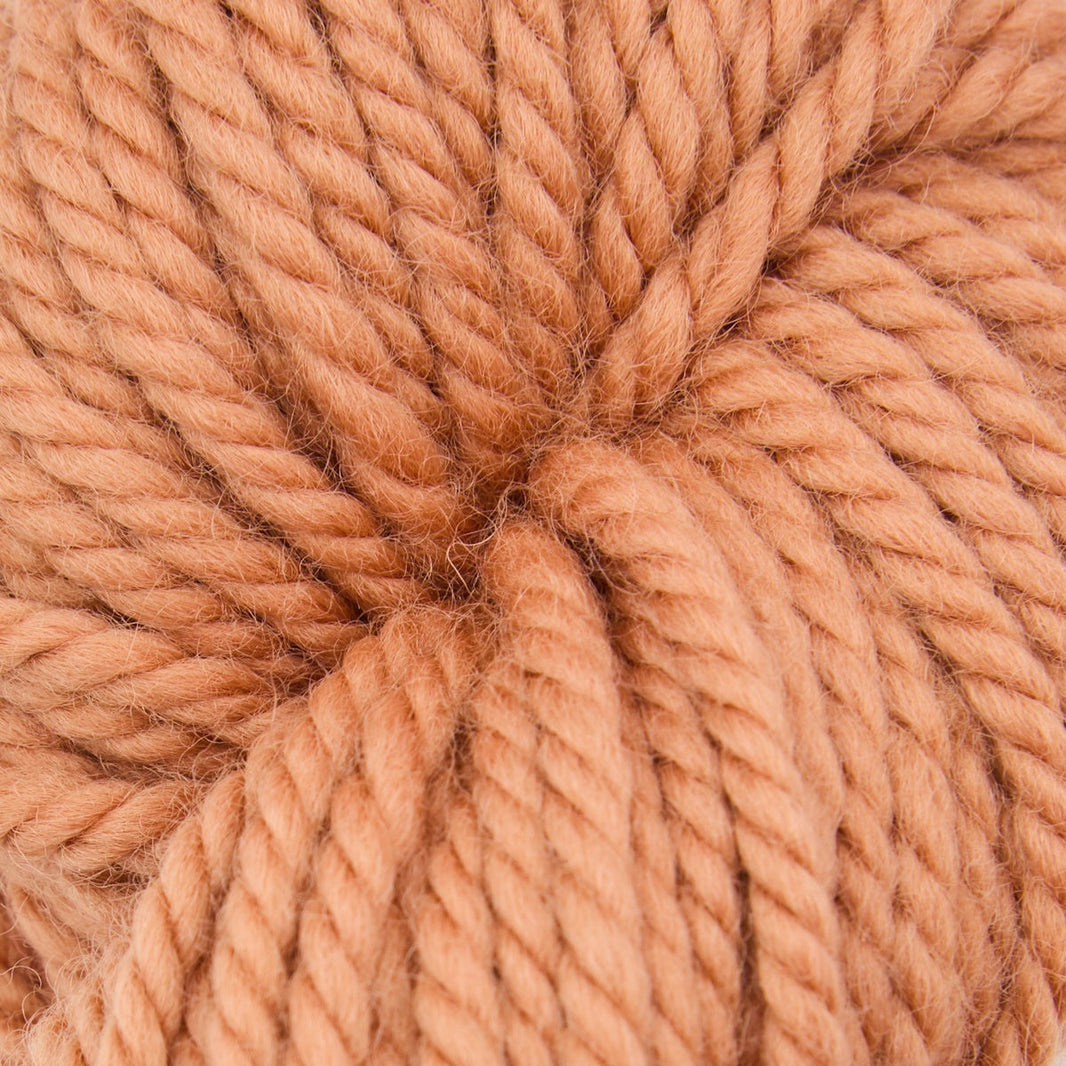 Violet Jane rug punch needle yarn, 110g skein in Peel the Onion