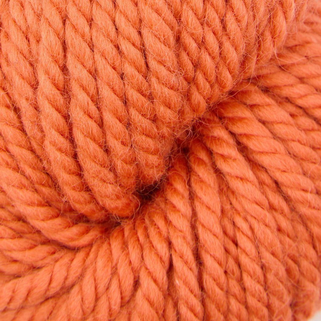 Violet Jane rug punch needle yarn, 110g skein in Don't Koi