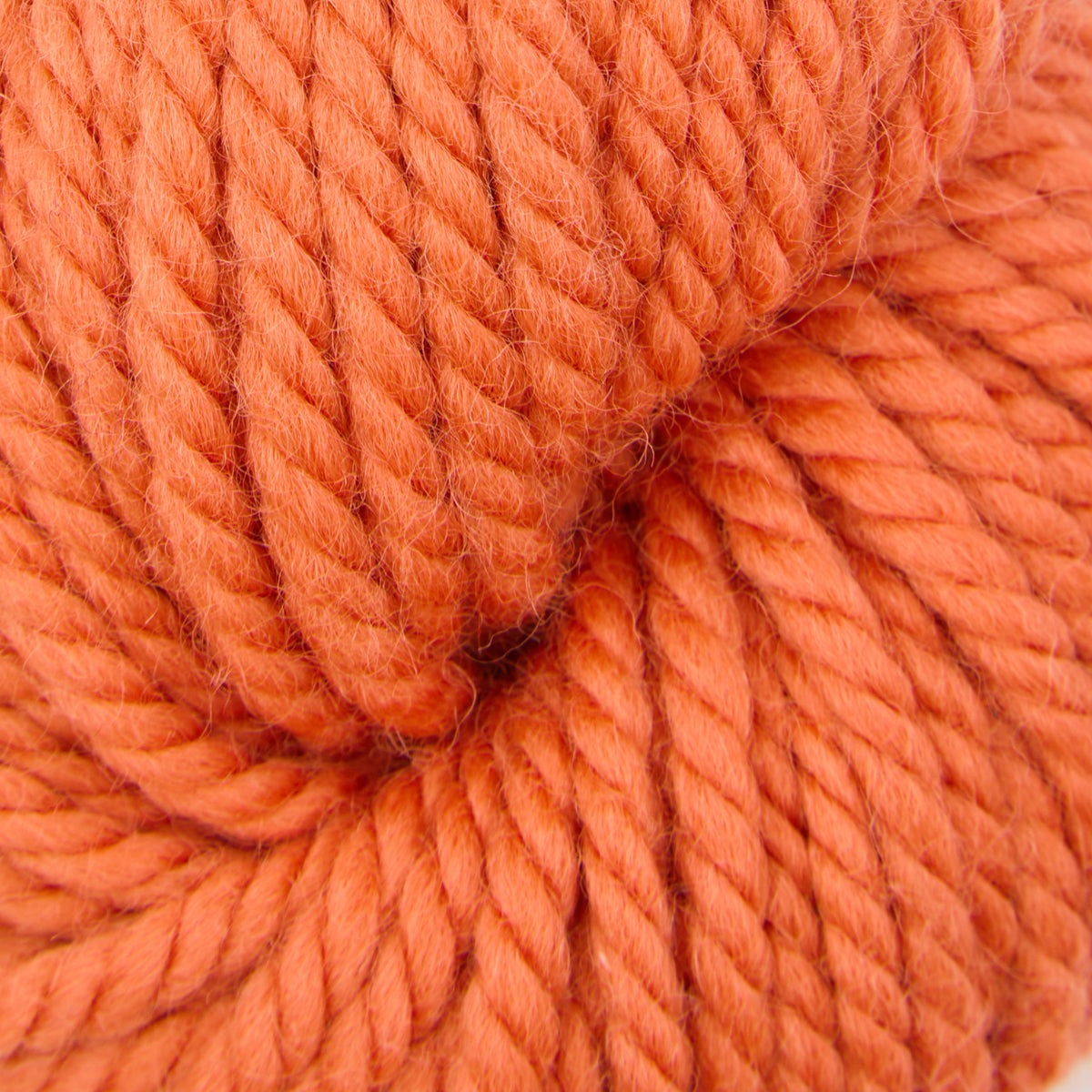 Violet Jane rug punch needle yarn, 110g skein in Don't Koi