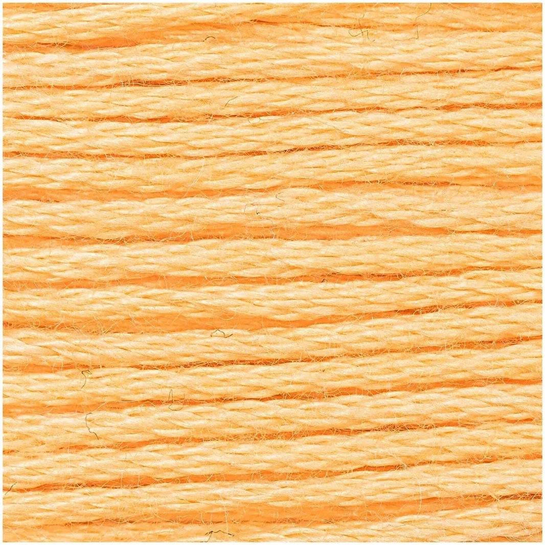 Rico stranded cotton embroidery floss, colourway detail