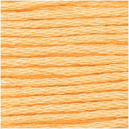 Rico stranded cotton embroidery floss, colourway detail