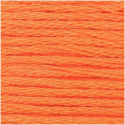 Rico stranded cotton embroidery floss, colourway detail