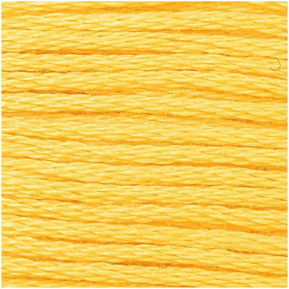 Rico stranded cotton embroidery floss, colourway detail